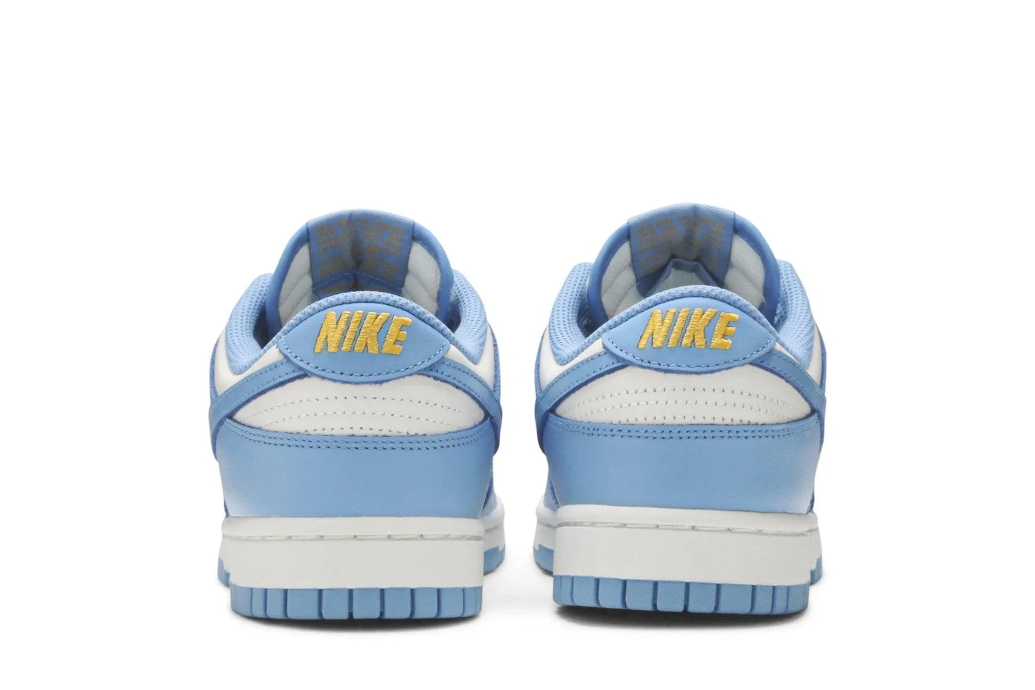 Nike Dunk Low Coast Azul